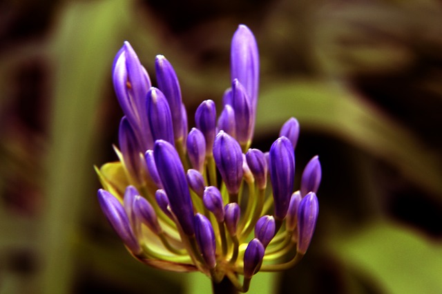 度丝毫不逊 度丝毫不逊