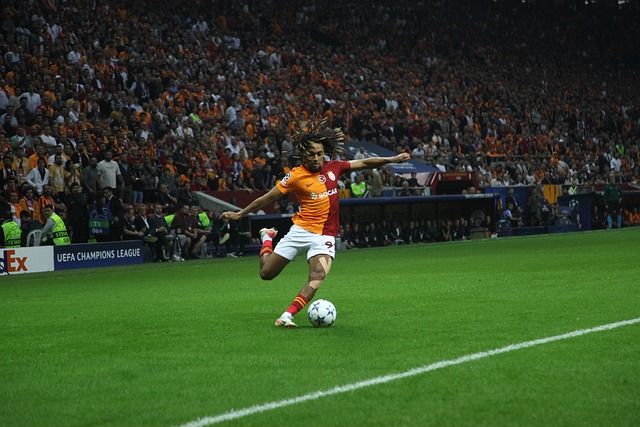 他获得了更 他获得了更