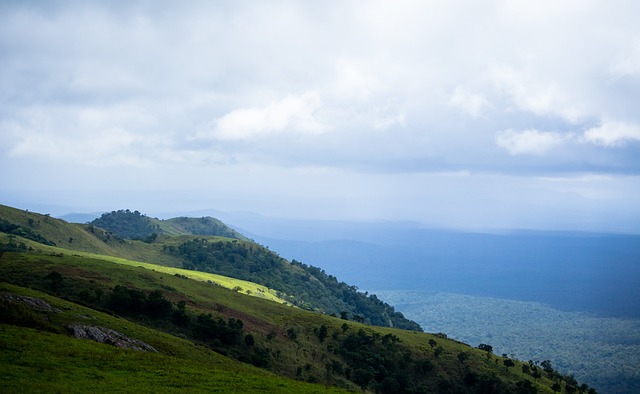 这种深厚的 这种深厚的