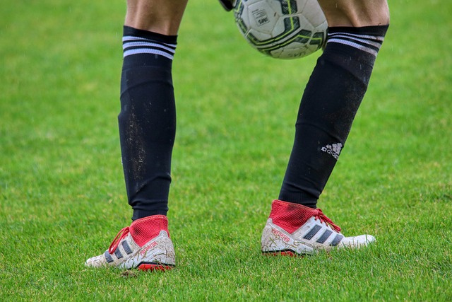 都是不可避 都是不可避