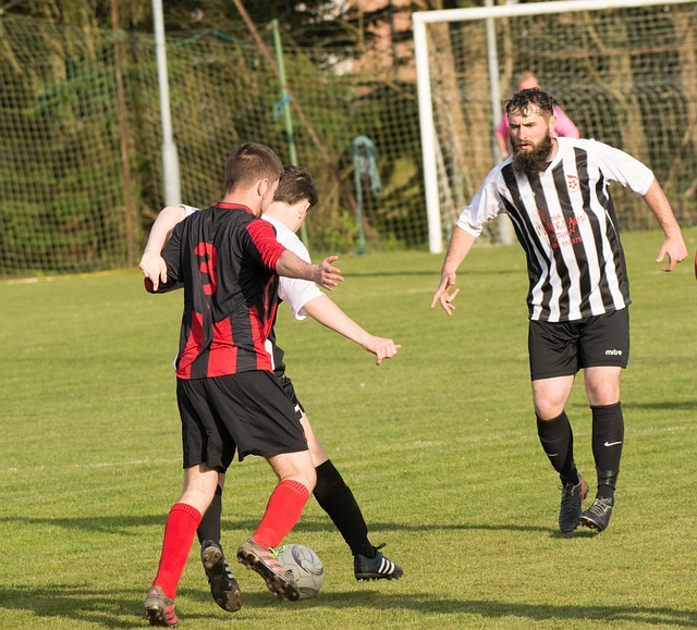 迷中的口碑 迷中的口碑