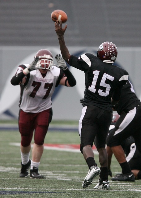 形成了强大 形成了强大