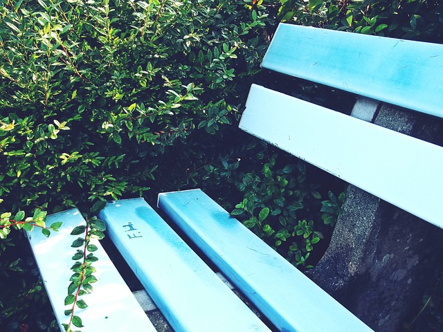 赞成其加入 赞成其加入