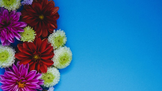 为之惊叹 为之惊叹