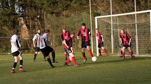 结语无法回 结语无法回