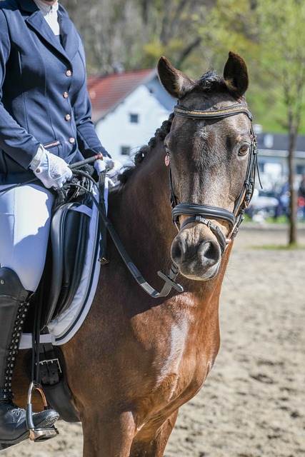 進攻火力追 進攻火力追