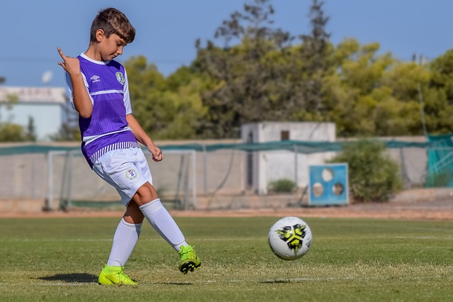 廷贡献了重 廷贡献了重